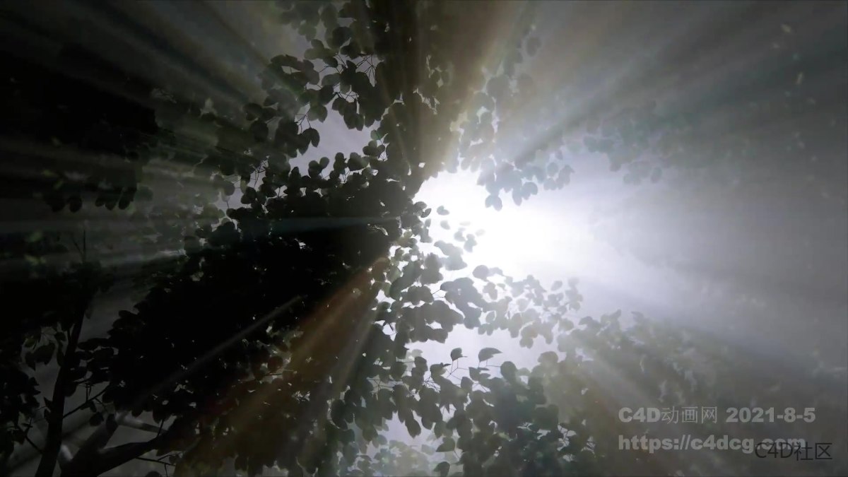 Lux Illuminazione 品牌宣传视频-光的艺术