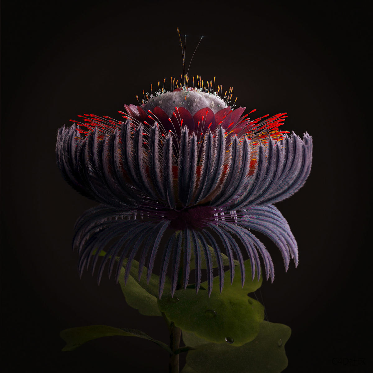 C4D作品欣赏：植物琉璃晶莹剔透的花