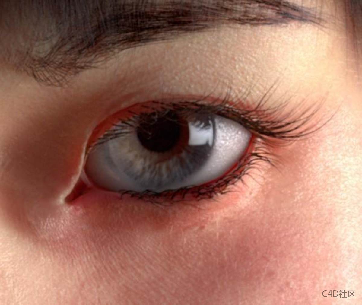 眼睛建模逐步剖析教学-超详细
