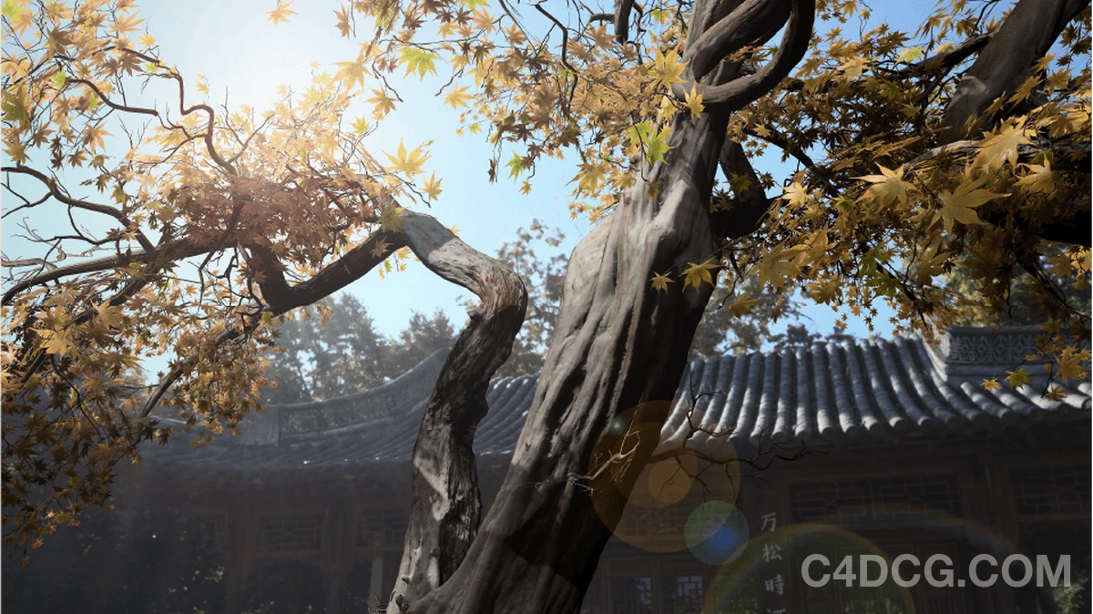 SpeedTree Modeler 10.0  植物树木建模软件