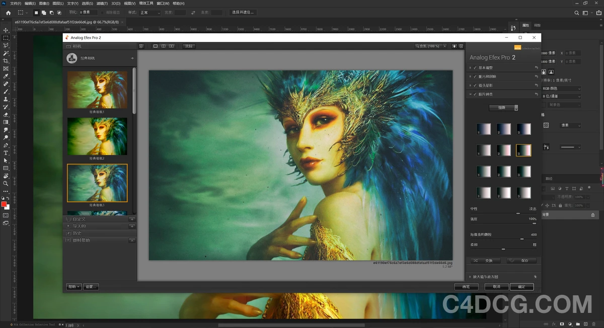 Nik Collection by DxO 8.1.2 Fro Photoshop 图像处理滤镜