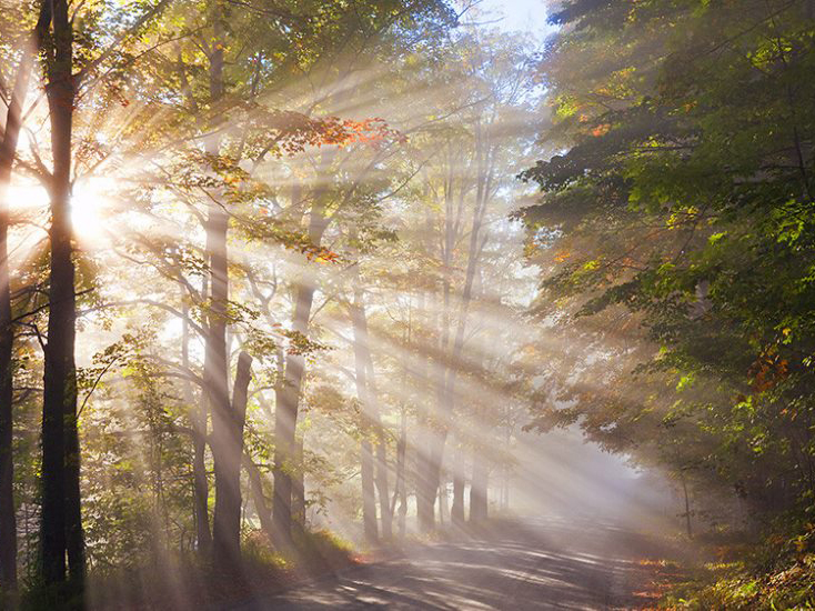 Digital Film Tools Rays 2.1.2.2 Fro Photoshop 丁达尔光束插件