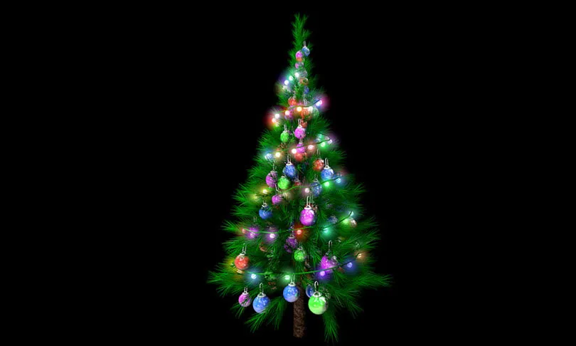 Magic Xtree 1.0 Fro Cinema 4D 树木生成插件