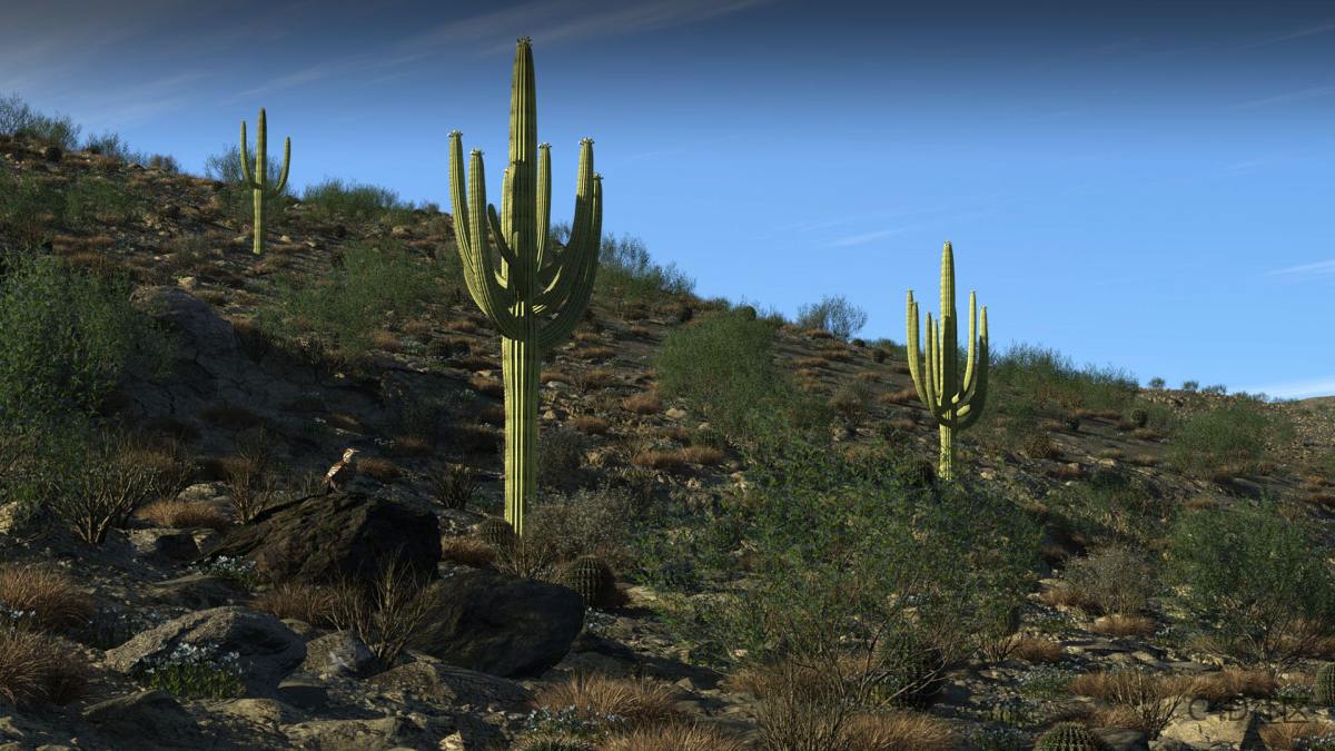 Terragen Professional 4.8.62 自然环境地形渲染软件