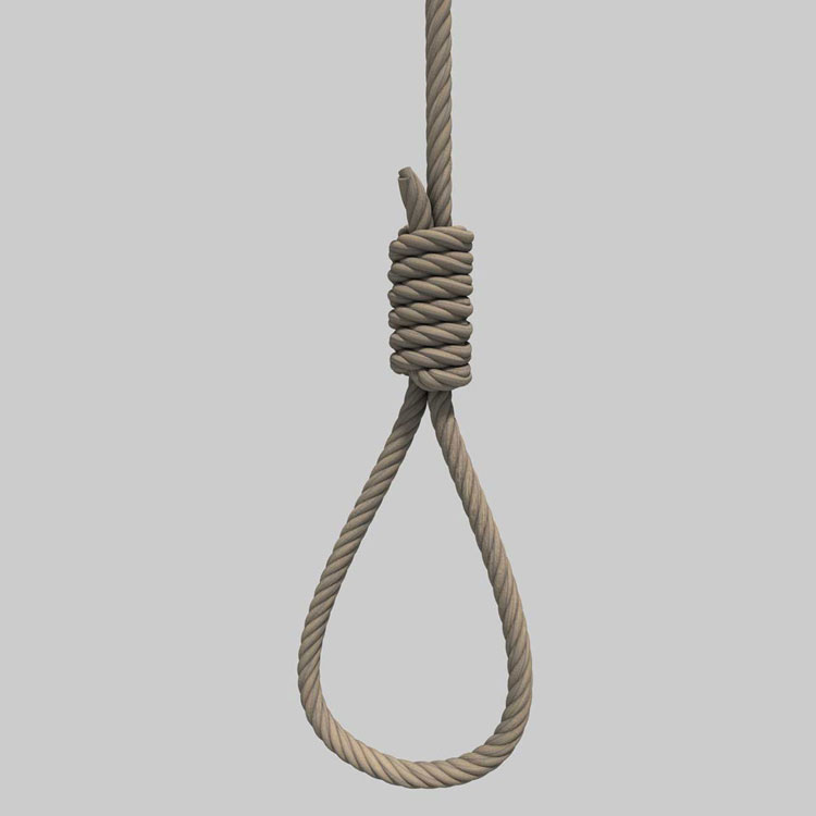 Reeper 3.2 Fro Cinema 4D 绳子/绳索生成插件