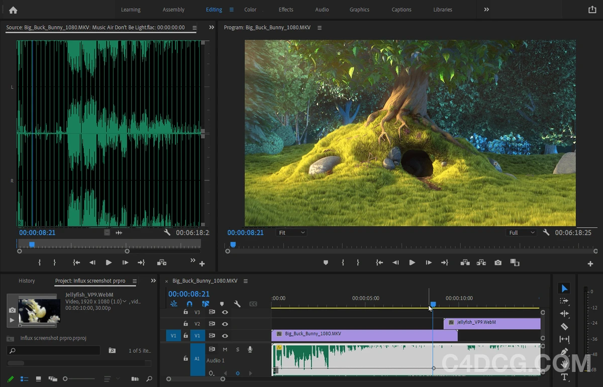 Autokroma Influx v1.5 Fro AE/PR 特殊编码视频导入插件
