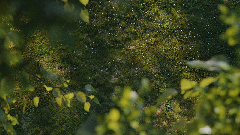 Laubwerks SurfaceSPREAD v2.0.9 for Cinema 4D 三维植物散布生成插件