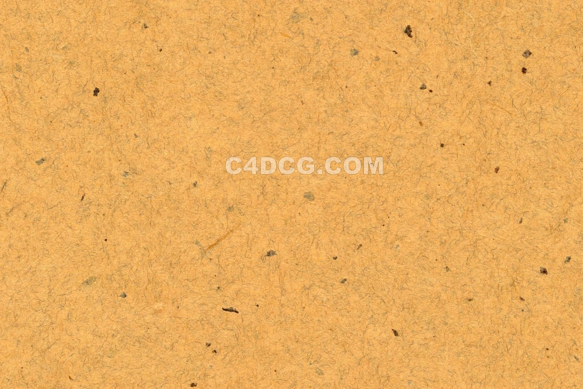 纸纹理-横版宣纸 (207)