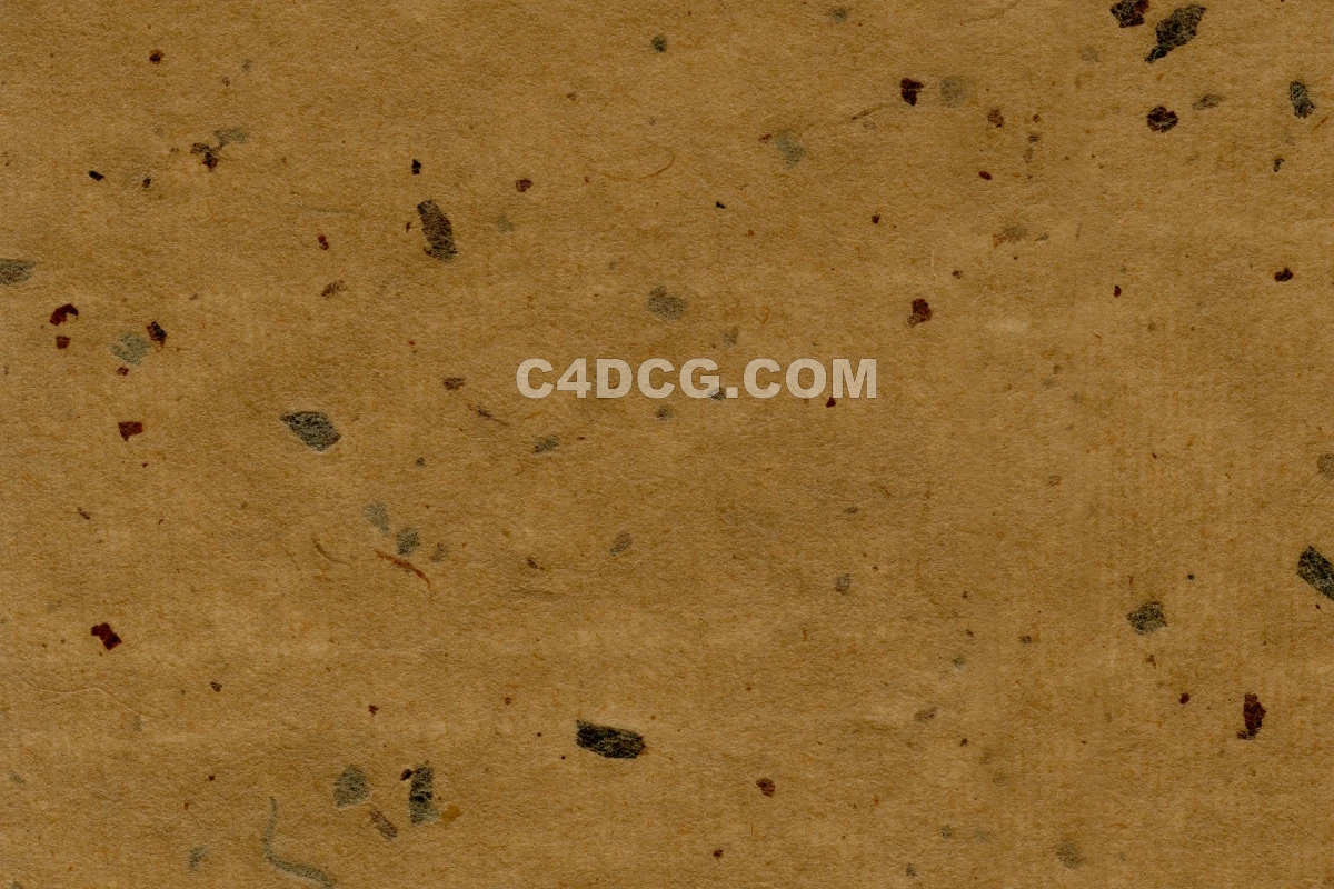 纸纹理-横版宣纸 (237)