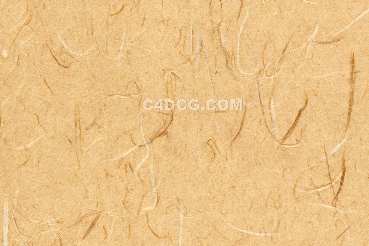 纸纹理-横版宣纸 (31)