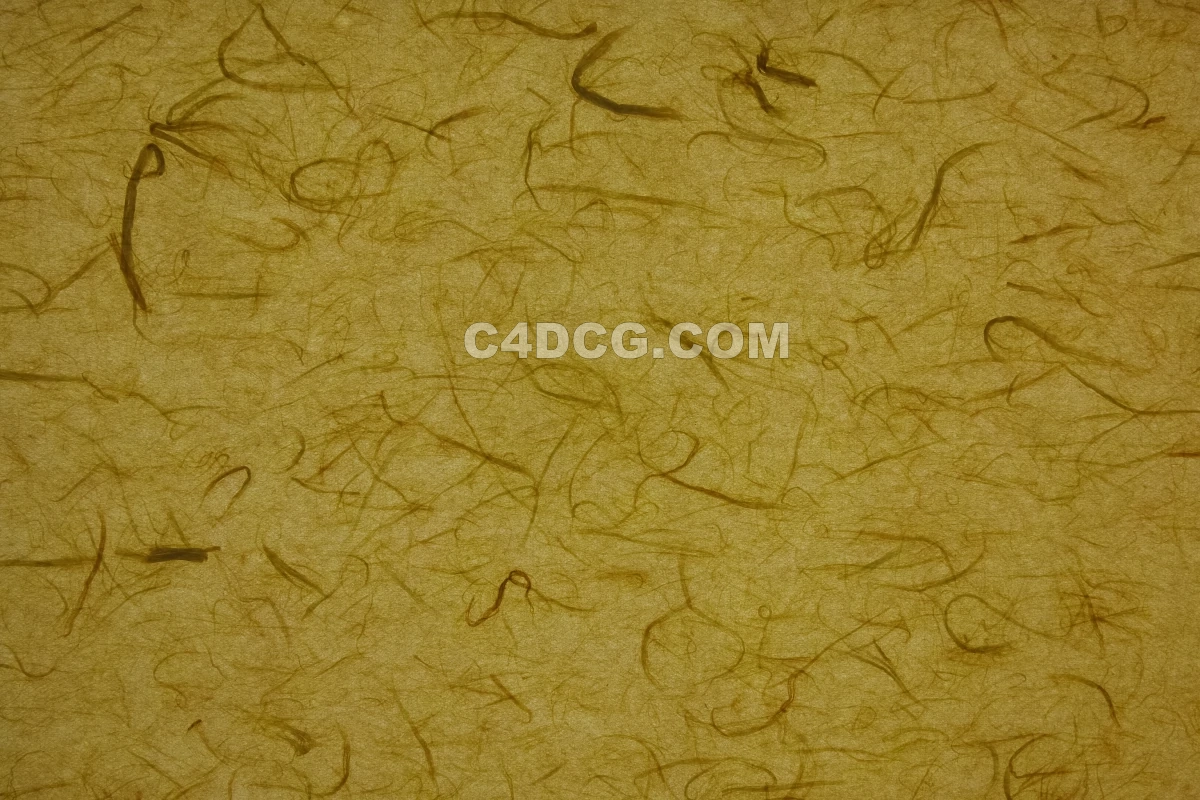 纸纹理-横版宣纸 (146)