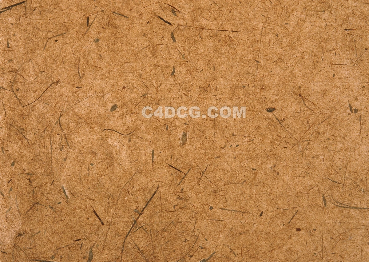 纸纹理-横版宣纸 (249)