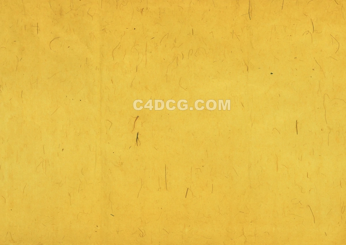 纸纹理-横版宣纸 (248)