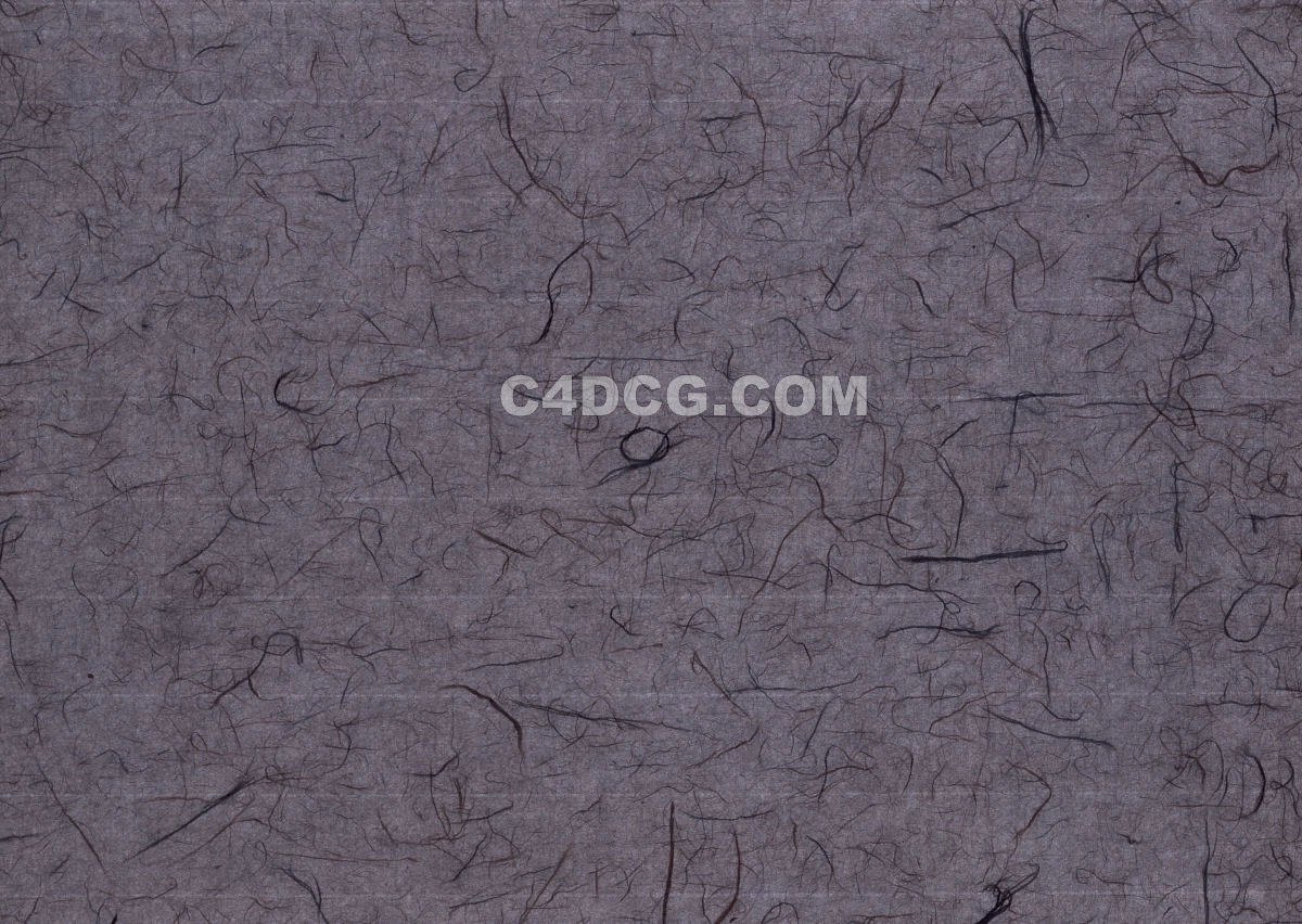 纸纹理-横版宣纸 (247)