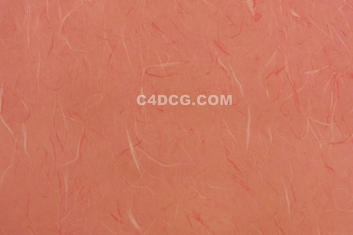 纸纹理-横版宣纸 (189)