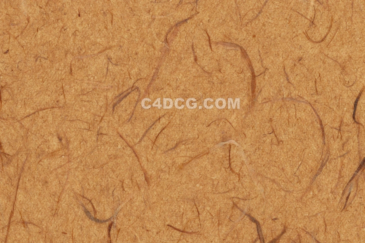 纸纹理-横版宣纸 (194)