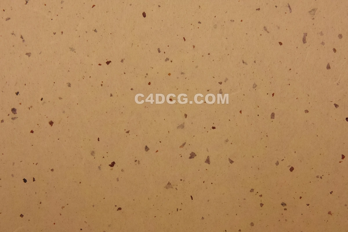 纸纹理-横版宣纸 (229)