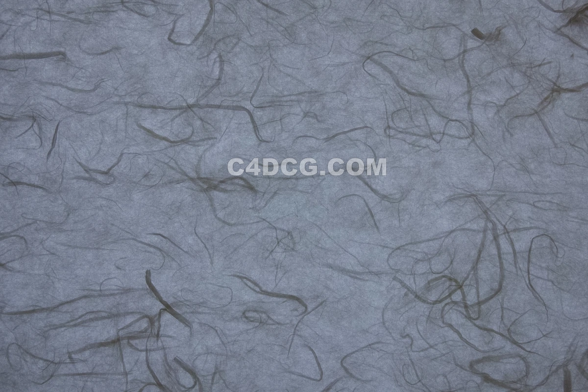 纸纹理-横版宣纸 (145)