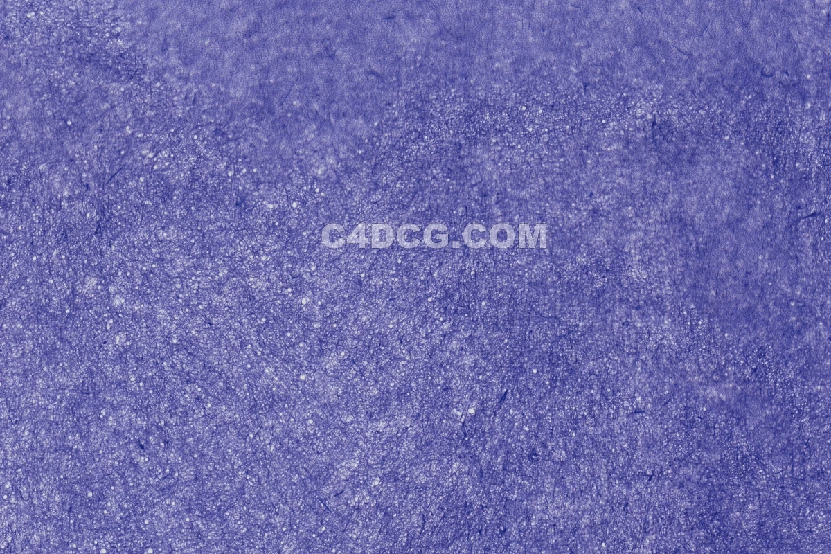 纸纹理-横版宣纸 (179)