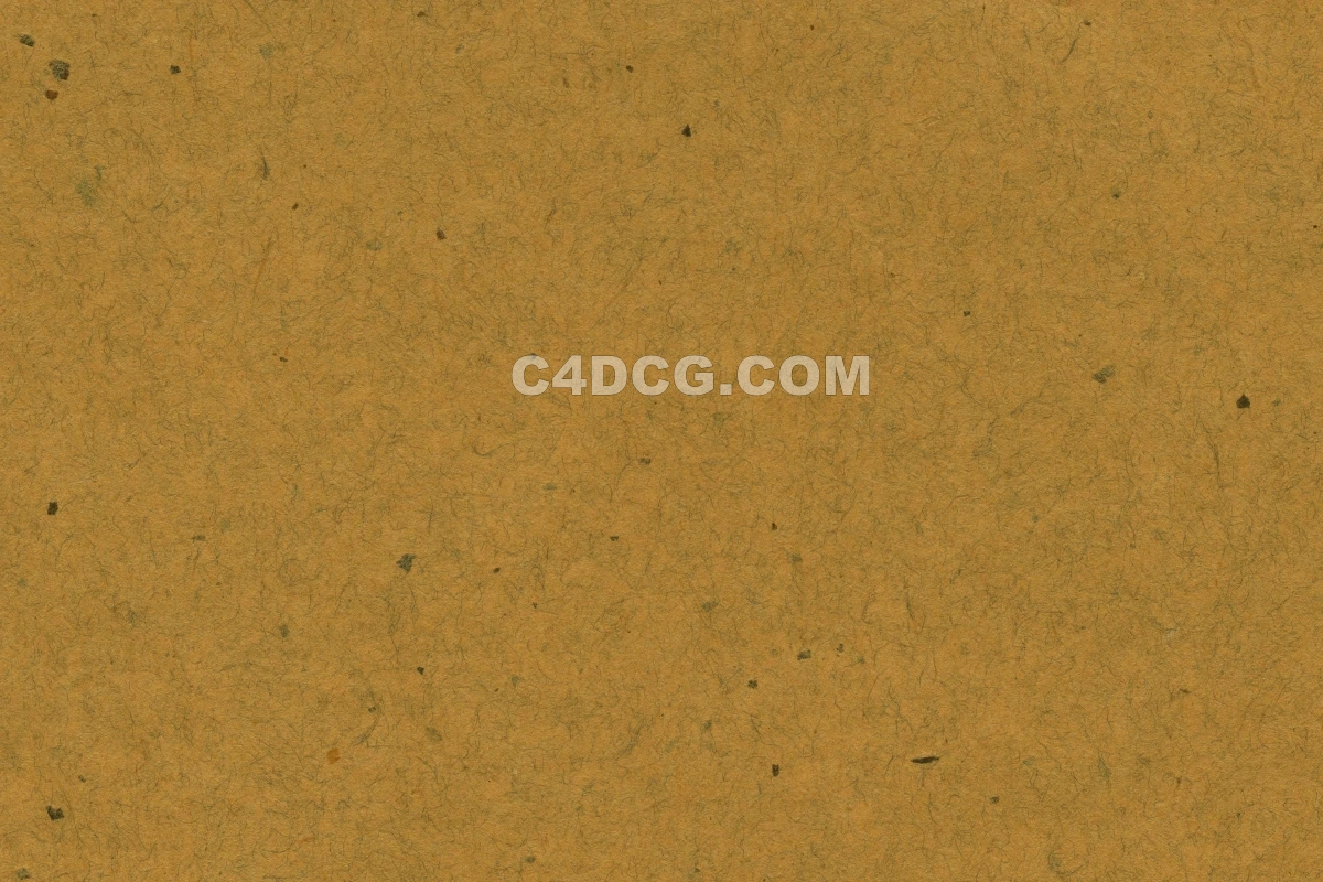 纸纹理-横版宣纸 (209)