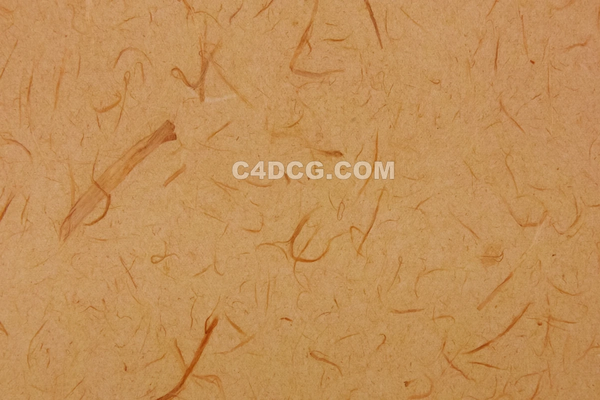 纸纹理-横版宣纸 (195)