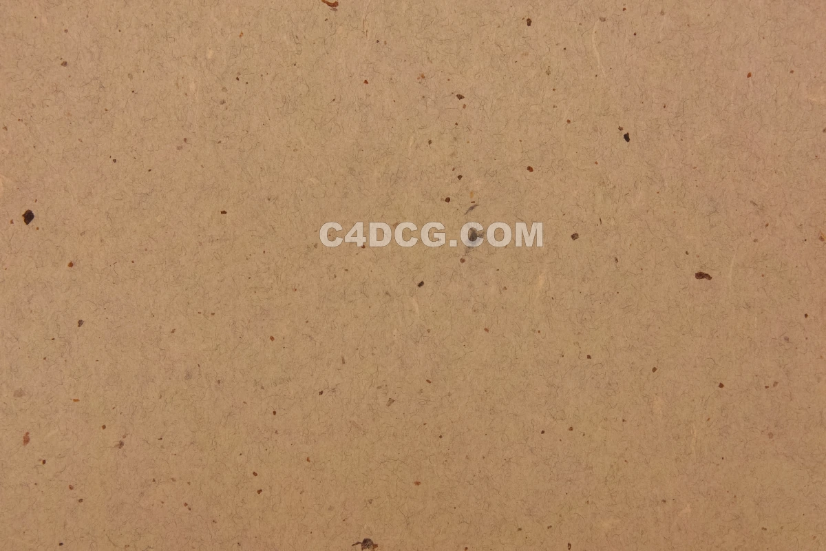 纸纹理-横版宣纸 (216)