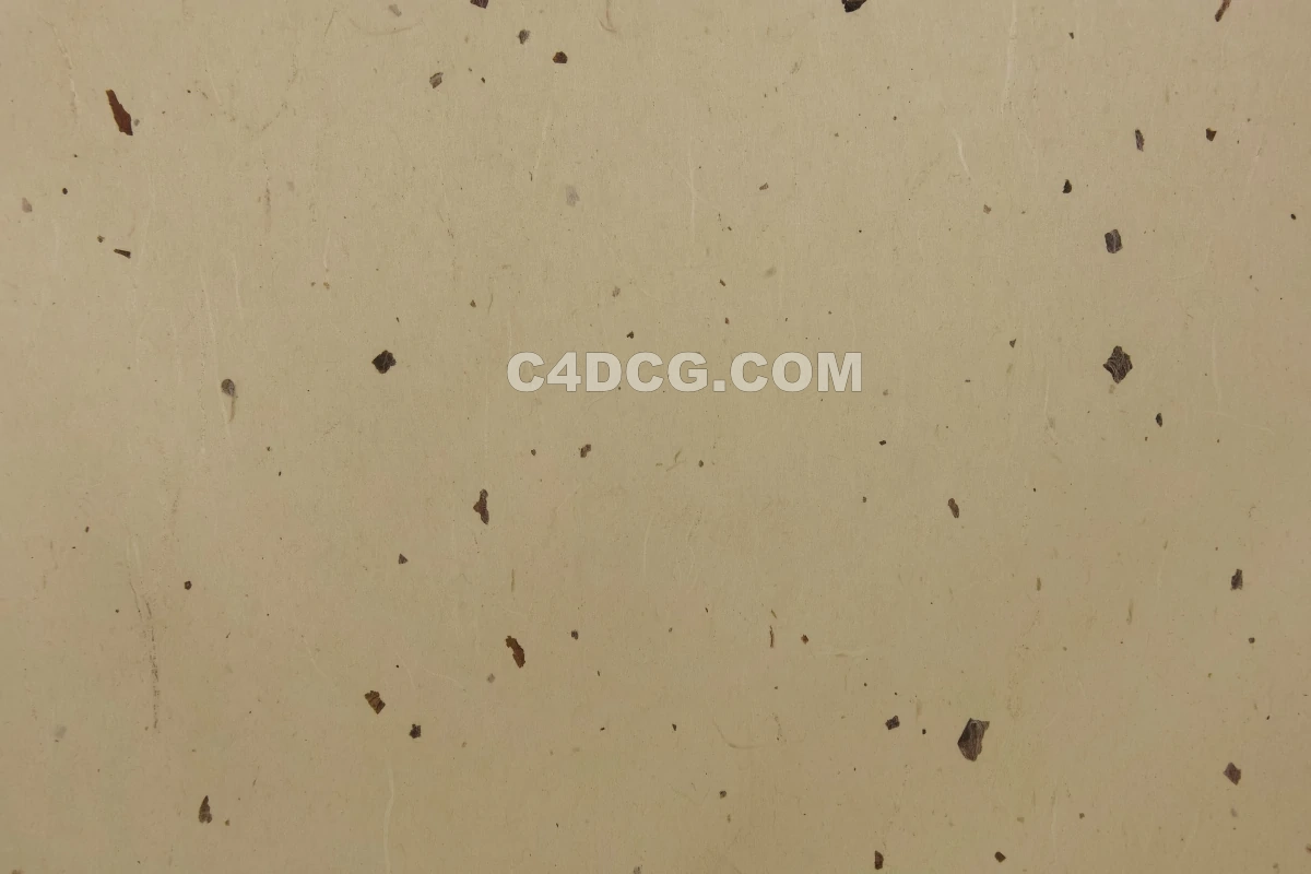 纸纹理-横版宣纸 (89)