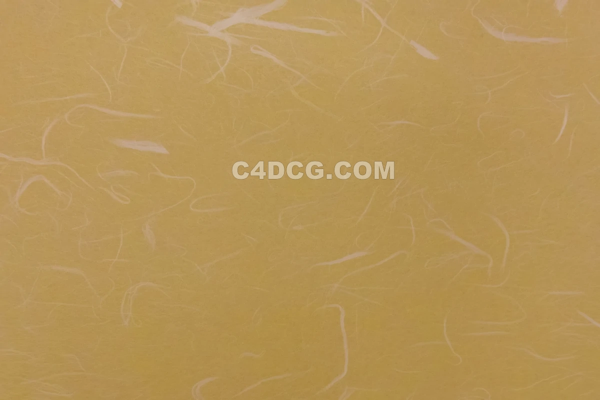 纸纹理-横版宣纸 (239)