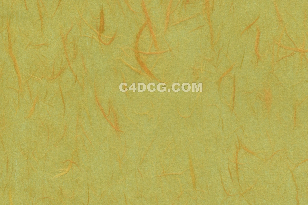 纸纹理-横版宣纸 (199)