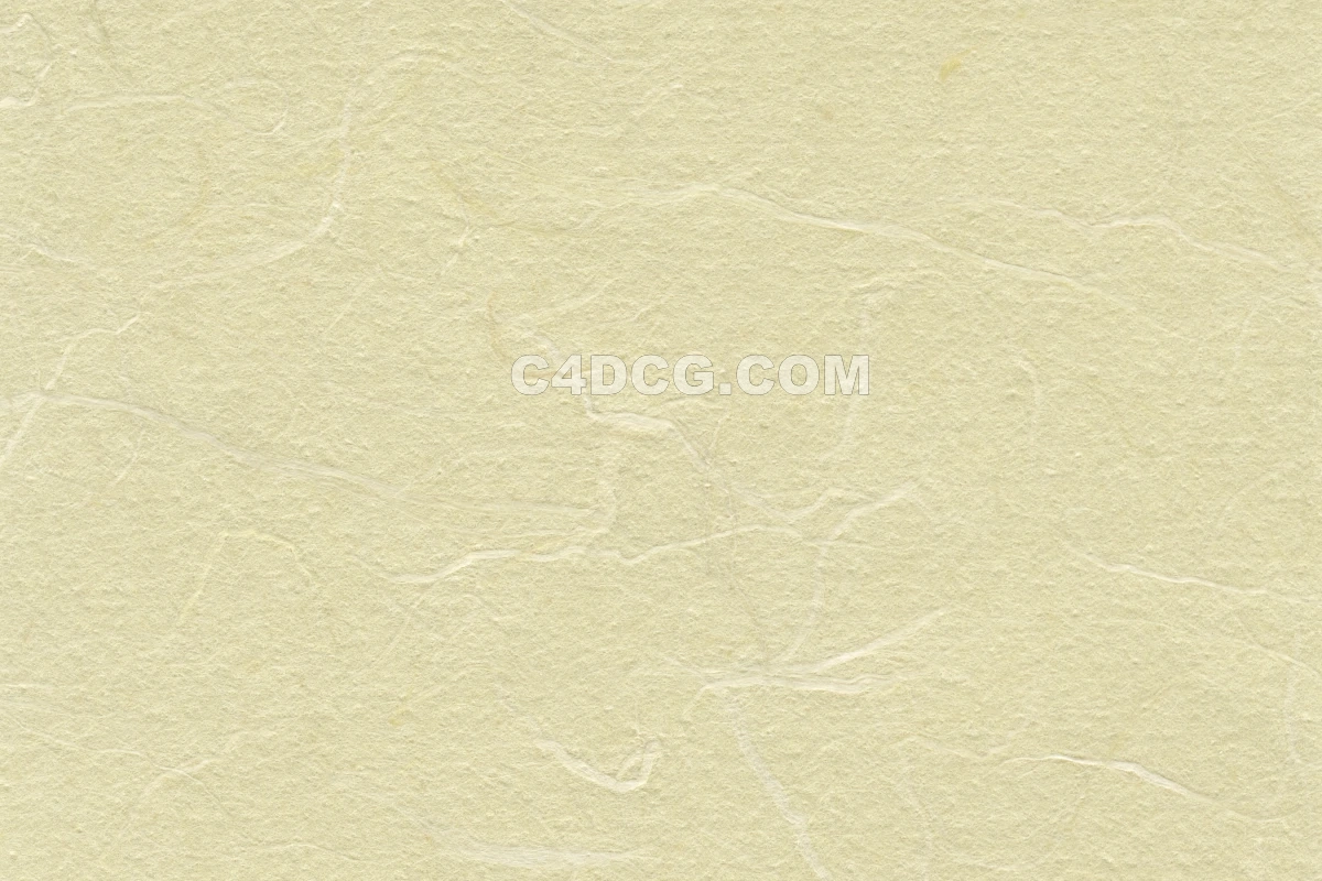 纸纹理-横版宣纸 (123)