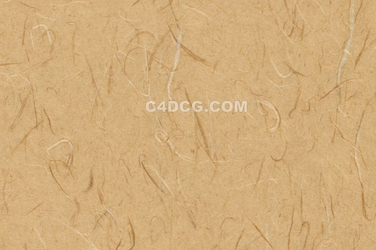 纸纹理-横版宣纸 (10)