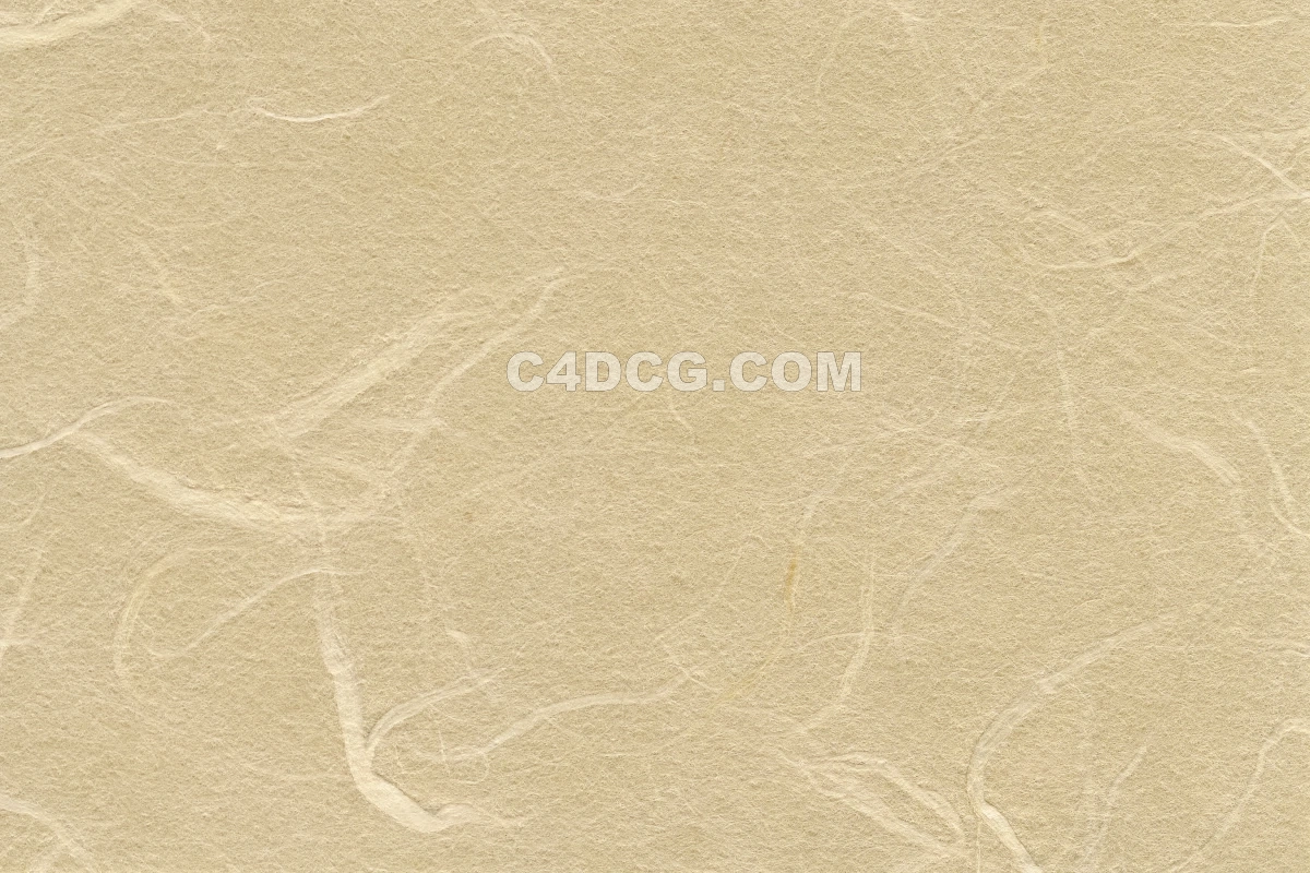 纸纹理-横版宣纸 (129)