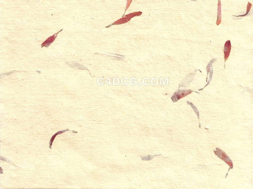 纸纹理-横版宣纸 (134)