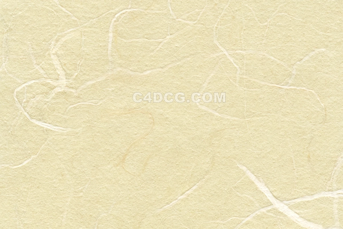 纸纹理-横版宣纸 (126)