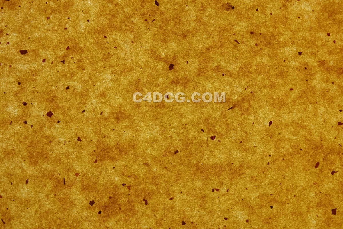 纸纹理-横版宣纸 (235)