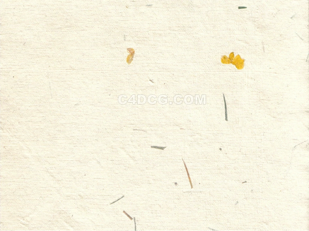 纸纹理-横版宣纸 (135)