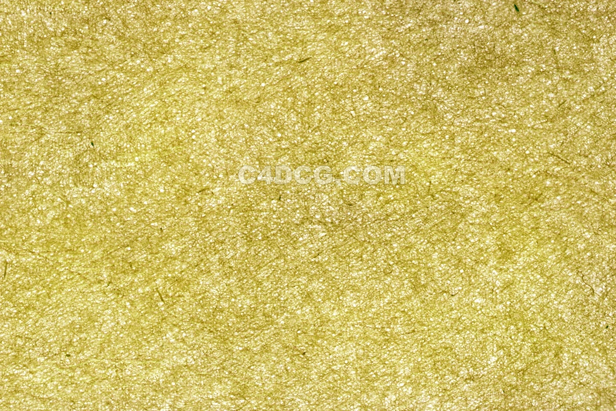 纸纹理-横版宣纸 (175)