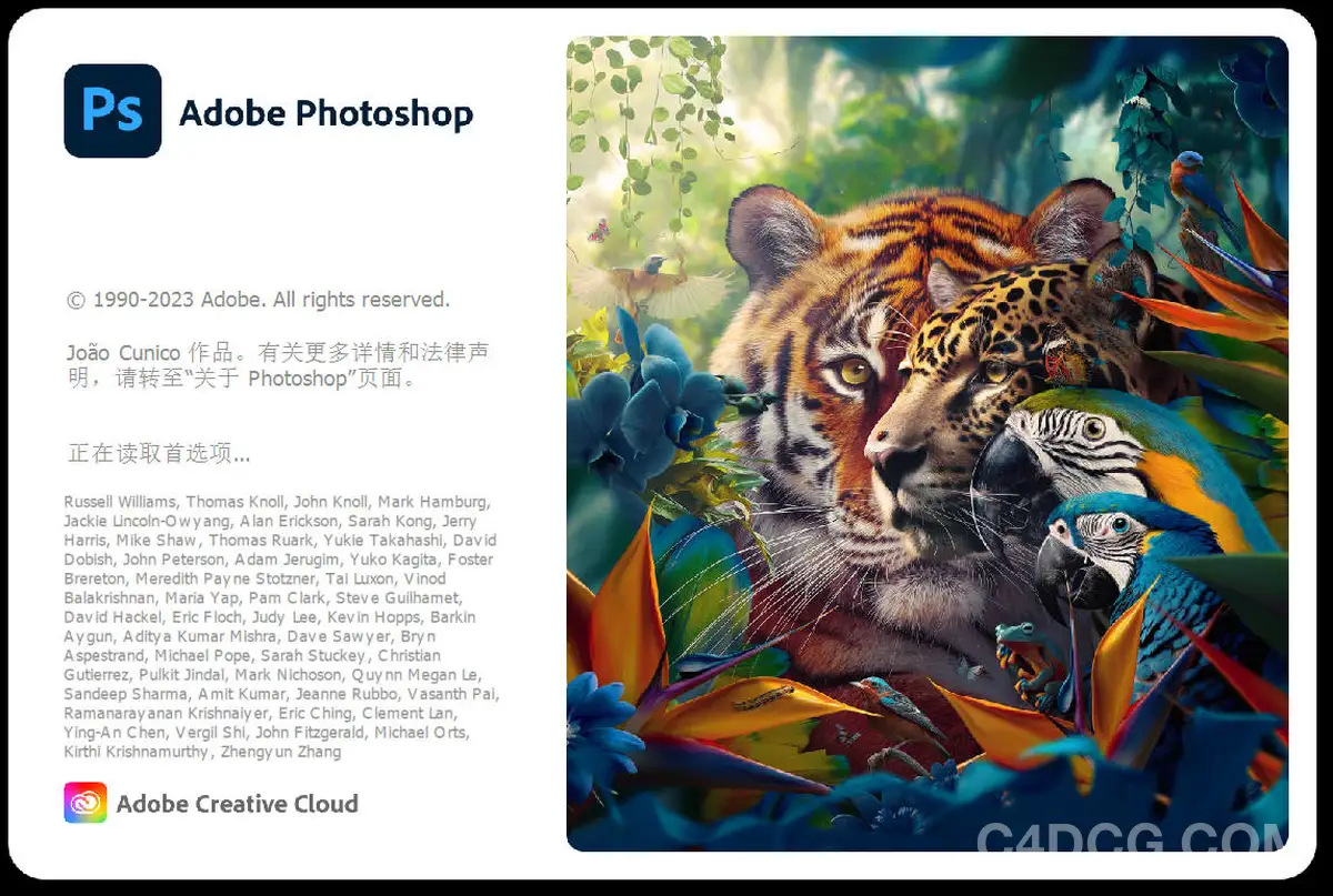 Adobe Photoshop 2025 26.11 图片合成调色软件
