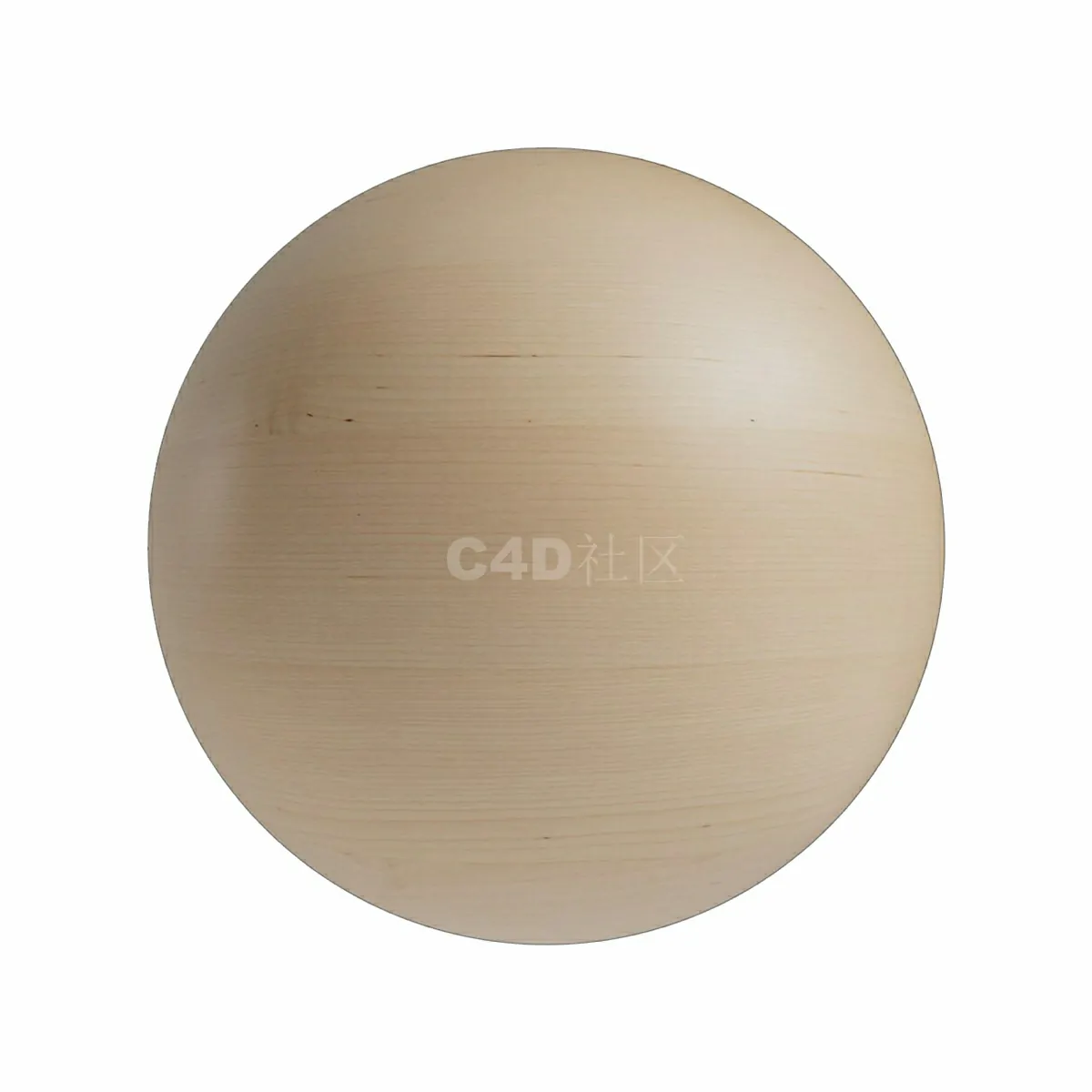 Birch_Veneer_Light_02-2