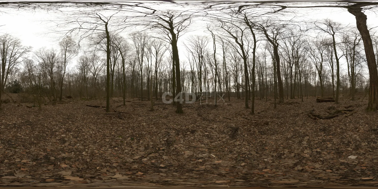 户外树林HDR 23-12-03 (7)