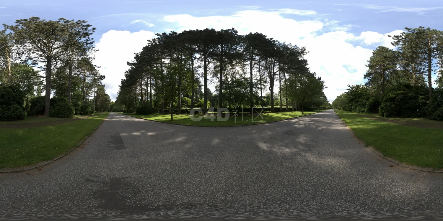 户外树林HDR 23-12-03 (4)