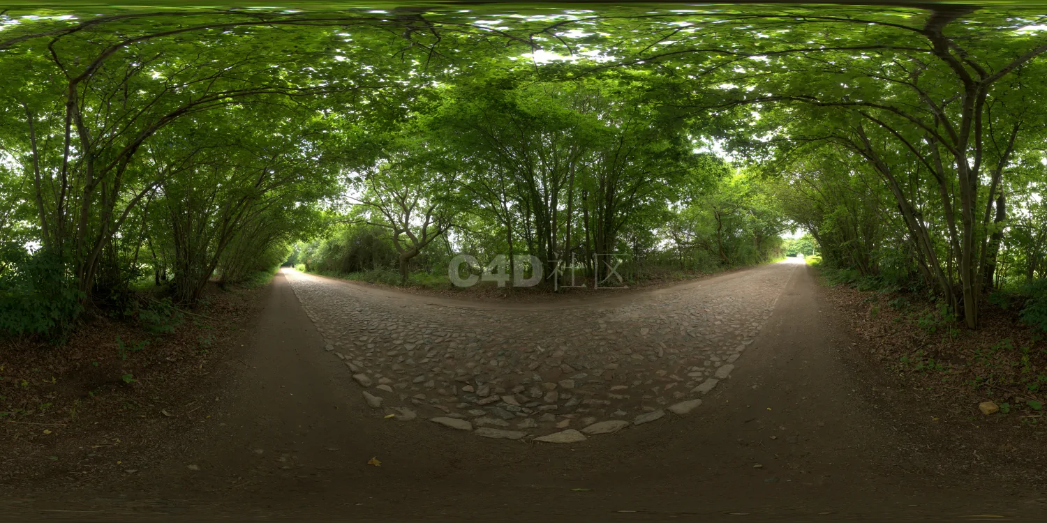 户外树林HDR 23-12-03 (1)