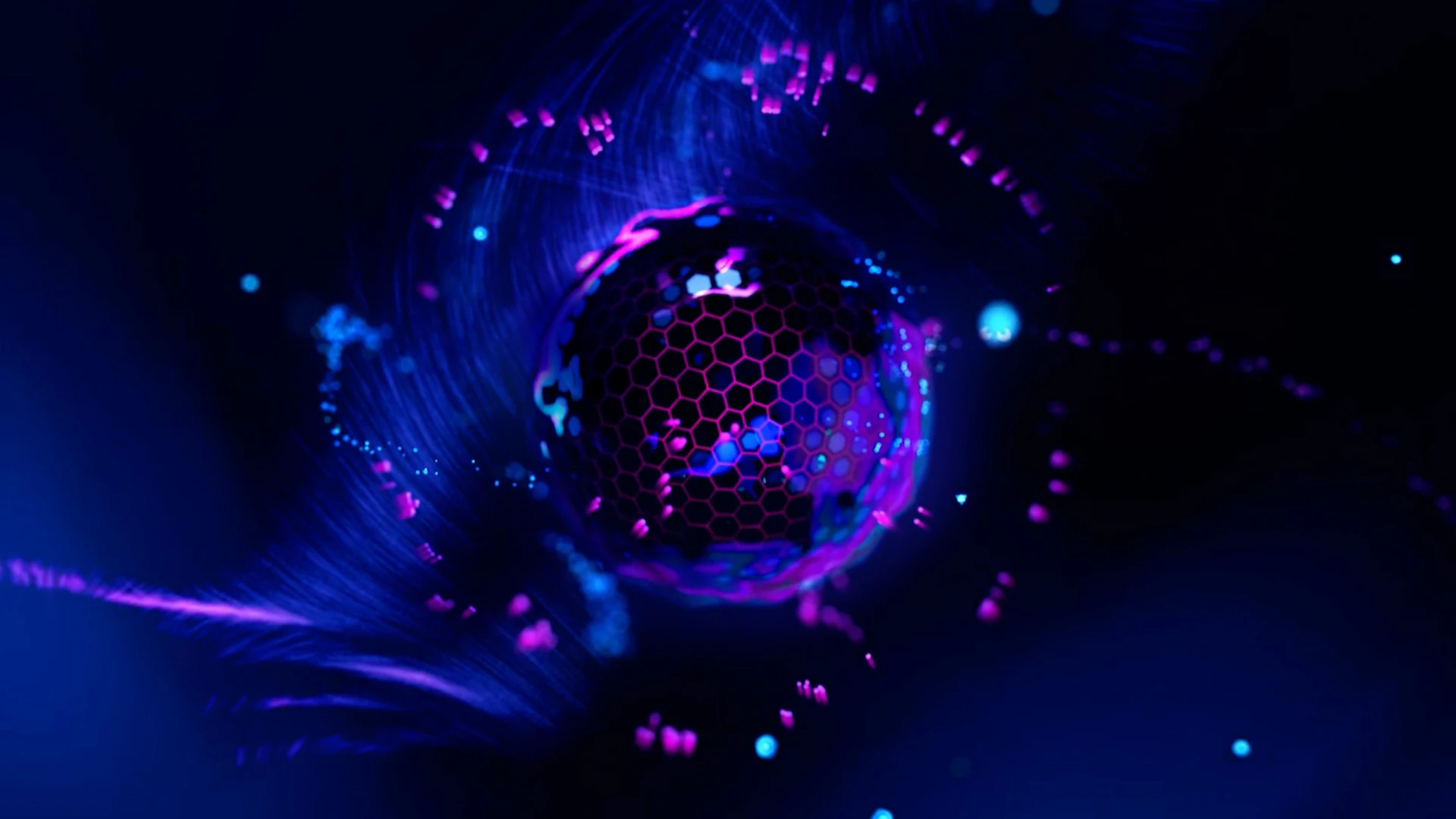 Cinema 4D 2025.0 新增功能