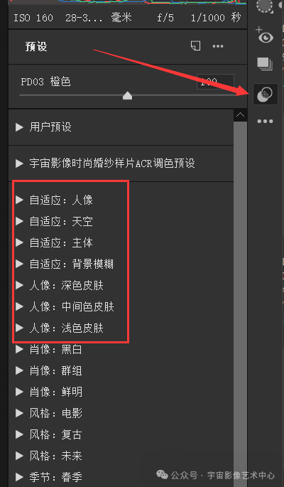 20241105140241354 Adobe Camera Raw 17.0 新增功能详解