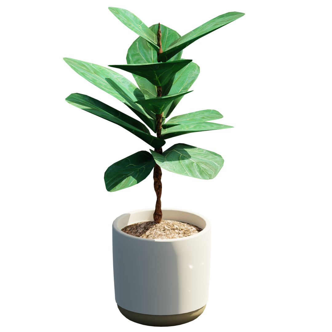 21个常用模型植物石膏笔