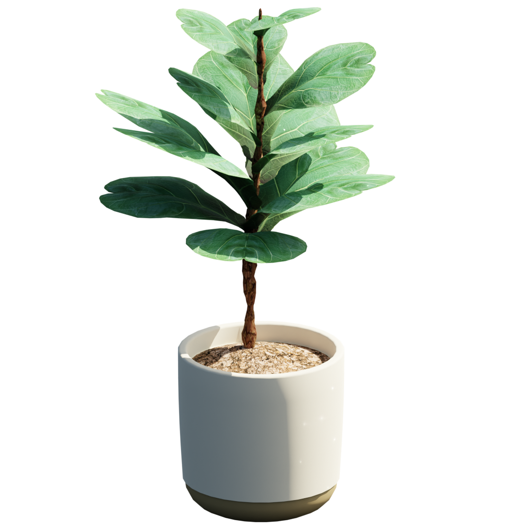 21个常用模型植物石膏笔