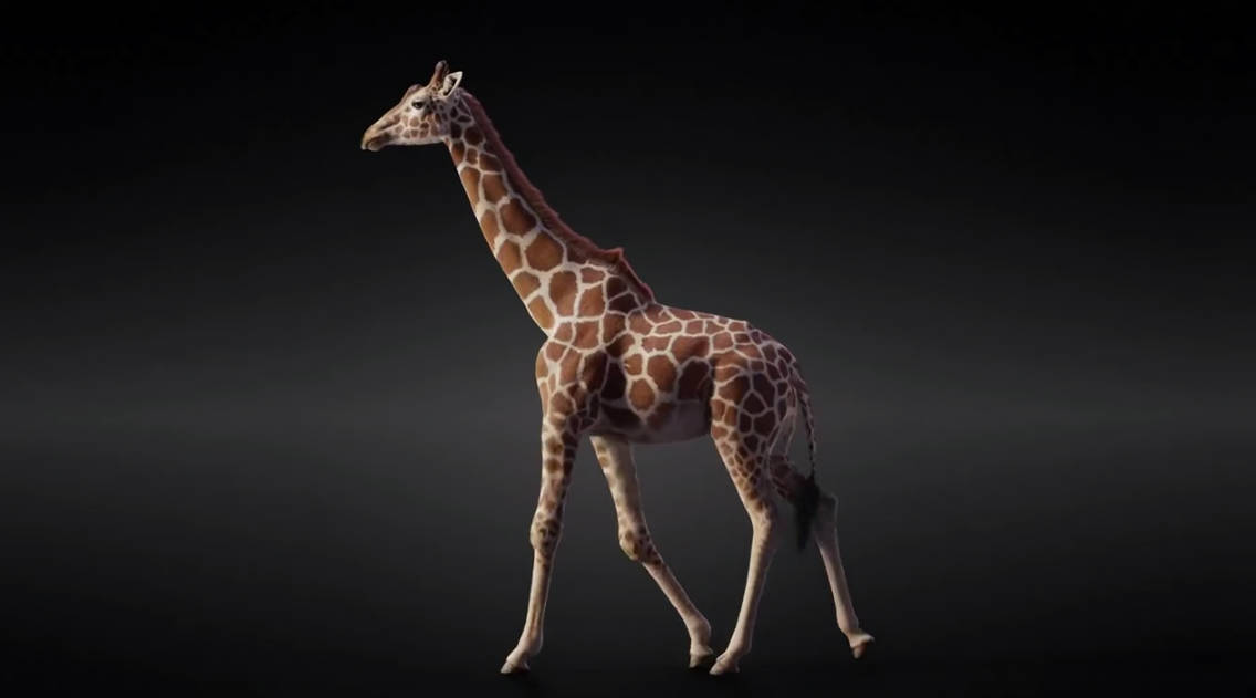 长颈鹿-带动作绑定