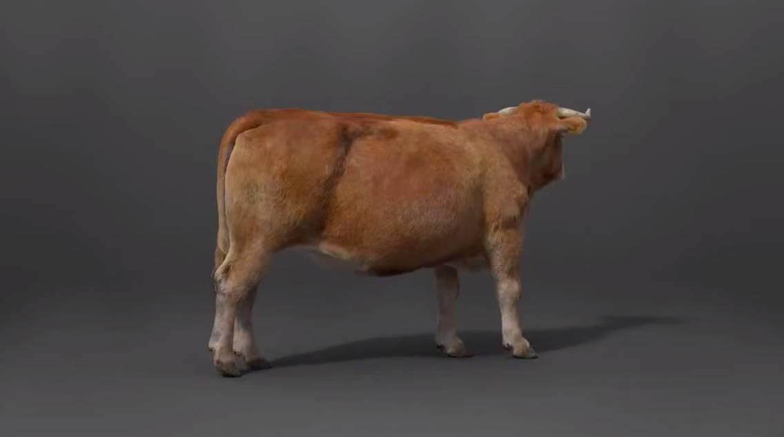 水牛-带动作绑定