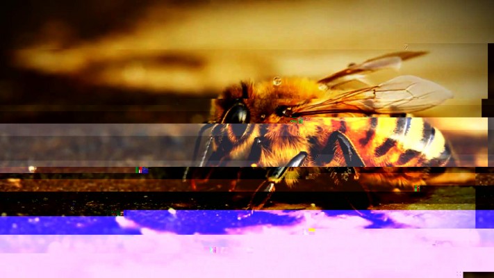 TV Distortion Bundle V2.7.5 for AE/PR 电视信号失真插件集