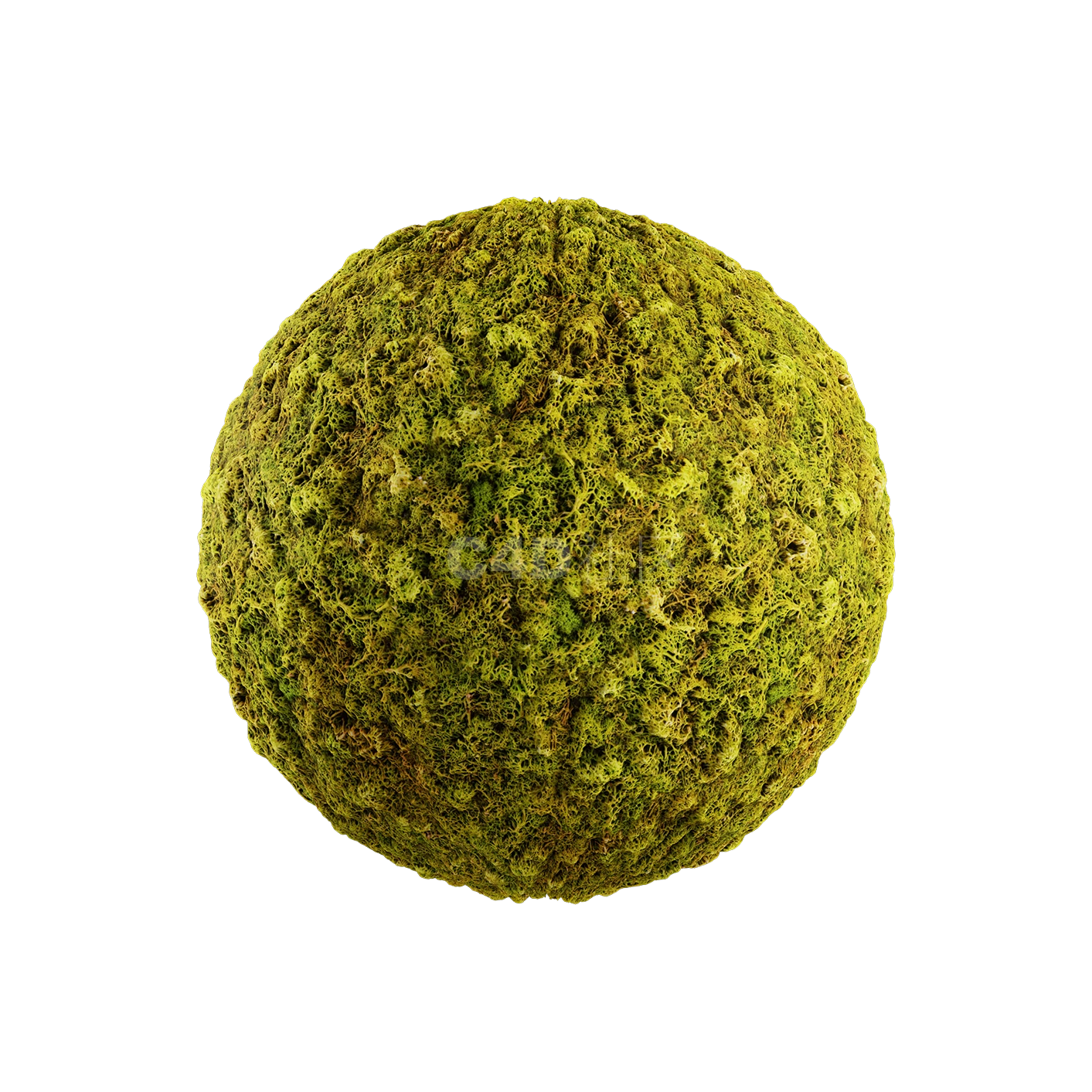 草地贴图250508005